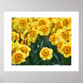 Doster Poster (Vorne)