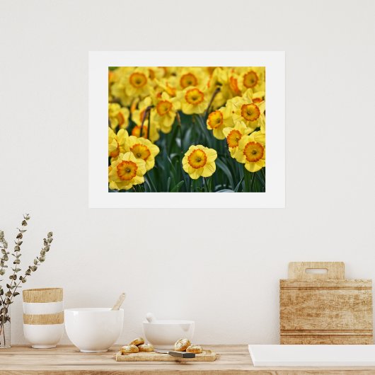 Doster Poster (Küche)