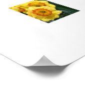 Doster Poster (Ecke)