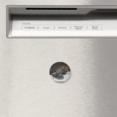 Dot.ca Magnet (In Situ (Geschirrspüler))
