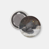 Dot.ca Magnet (Vorderseite/Rückseite)