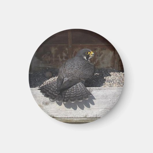 Dot.ca Magnet (Vorne)