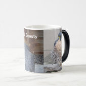 Dot.ca u. Schönheits-Tasse Verwandlungstasse (VorderseiteRechts)