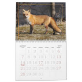 Dot the Fox Kalender (Mär 2027)