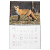 Dot the Fox Kalender (Mär 2026)