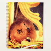 Doting Mama Dove Planer (Vorderseite)