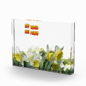 Dotter Weiße und Gelbe Kruste. Fotoblock (Rechts)