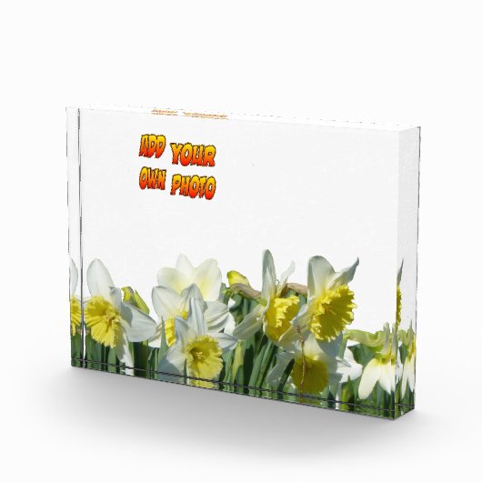 Dotter Weiße und Gelbe Kruste. Fotoblock (Rechts)