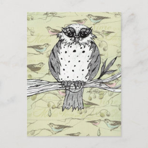 Dotti the Owl 33 Postkarte