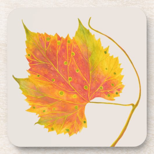 Dotty Spotty fällt auf ein Untersetzer-Set Getränkeuntersetzer (Vorderseite)