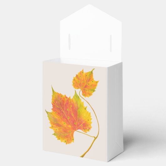 Dotty Spotty fällt auf eine Gefälligkeitsbox Geschenkschachtel (Geöffnet)