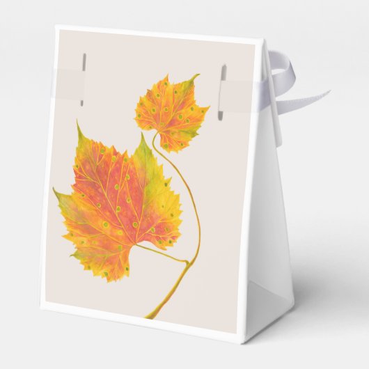 Dotty Spotty fällt auf eine Gefälligkeitsbox Geschenkschachtel (Rückseite)