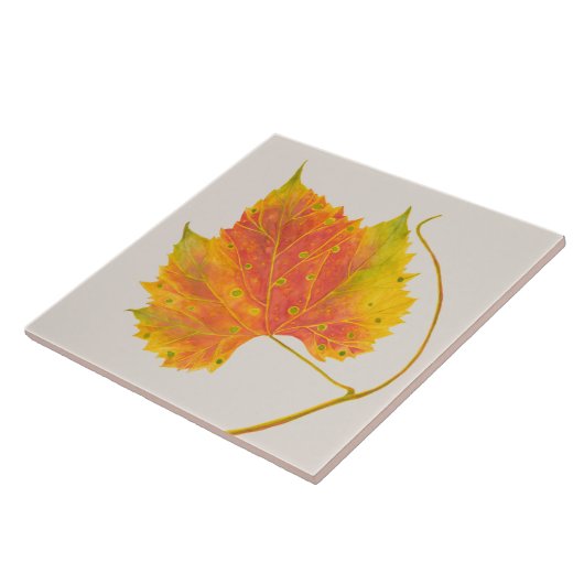 Dotty Spotty fällt auf eine Keramik Fliese (Seite)