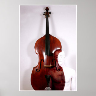 Double Bass by Johannes Stötter Poster