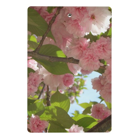 Double Blossoming Cherry Tree III Spring Floral Mini Klemmbrett (Rückseite)