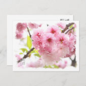 Double Cherry Blossom: Ayanishiki ポストカード Postkarte (Vorne/Hinten)