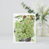 Double Cherry Blossom: Gioiko Postkarte (Stehend Vorderseite)