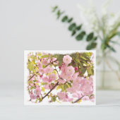 Double Cherry Blossom: Imose Postkarte (Stehend Vorderseite)