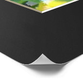 Double Cherry Blossom: Kenrokuen-kikuzakura Poster (Ecke)