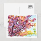 Double Cherry Blossom: Kouka Postkarte (Vorne/Hinten)
