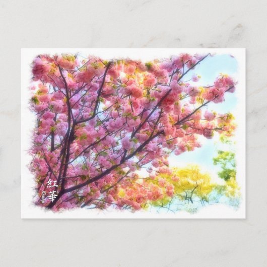Double Cherry Blossom: Kouka Postkarte (Vorderseite)