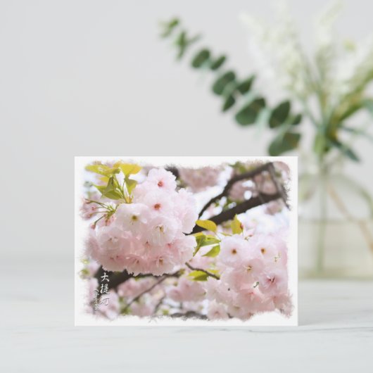 Double Cherry Blossom: Oh-jochin ポストカード Postkarte (Stehend Vorderseite)