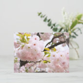 Double Cherry Blossom: Oh-jochin Karte (Stehend Vorderseite)