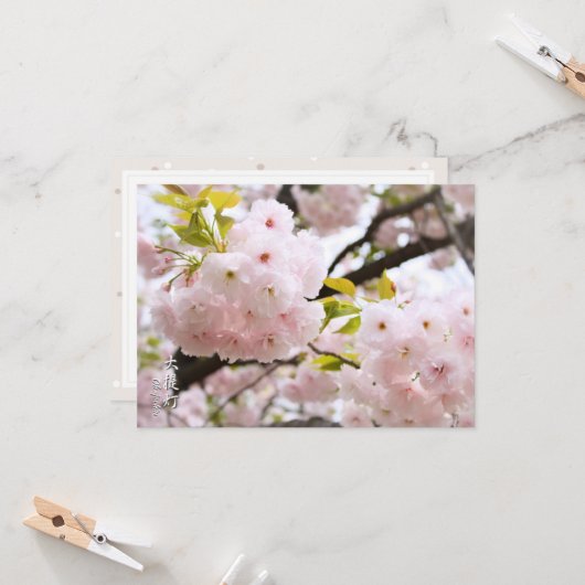 Double Cherry Blossom: Oh-jochin Karte (Vorderseite/Rückseite Beispiel)