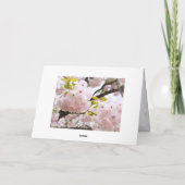 Double Cherry Blossom: Oh-jochin Karte (Rückseite)
