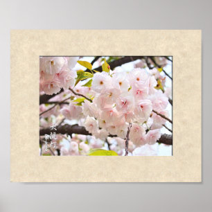 Double Cherry Blossom: Oh-jochin Poster