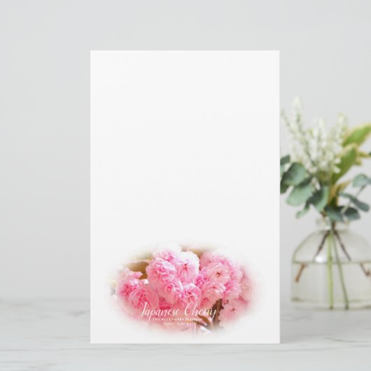 Double Cherry Blossom: Sato-zakura Briefpapier (Stehend Vorderseite)