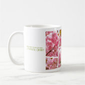 Double Cherry Blossom: Sato-zakura Kaffeetasse (Links)