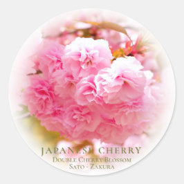 Double Cherry Blossom: Sato-zakura Runder Aufkleber