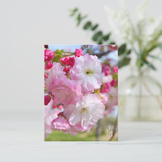 Double Cherry Blossom: Shogetsu Postkarte (Stehend Vorderseite)