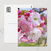 Double Cherry Blossom: Shogetsu Postkarte (Vorne/Hinten)