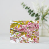 double cherry blossoms feiertagspostkarte (Stehend Vorderseite)