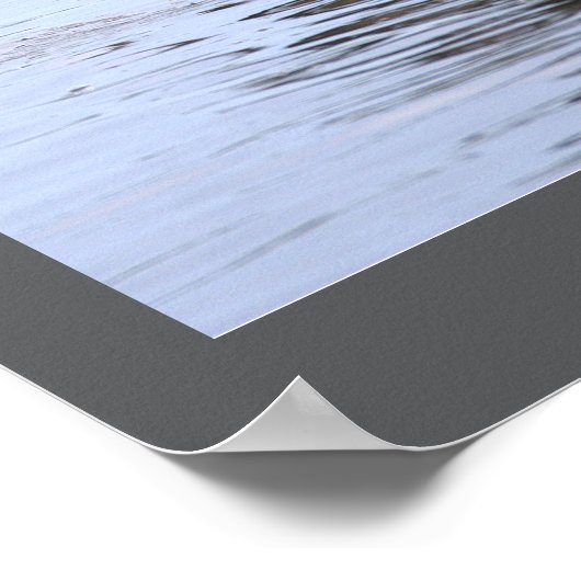 Double-crested Cormorant Bird Poster (Ecke)