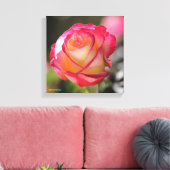 Double Delight Rose Leinwanddruck (Insitu (Wohnzimmer))