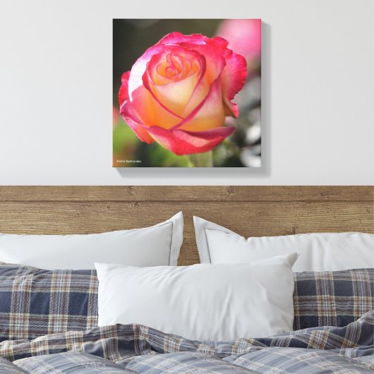 Double Delight Rose Leinwanddruck (Insitu (Schlafzimmer))