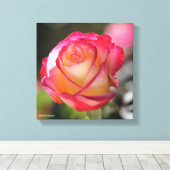 Double Delight Rose Leinwanddruck (Insitu (Holzboden))