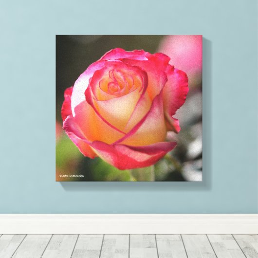 Double Delight Rose Leinwanddruck (Insitu (Holzboden))