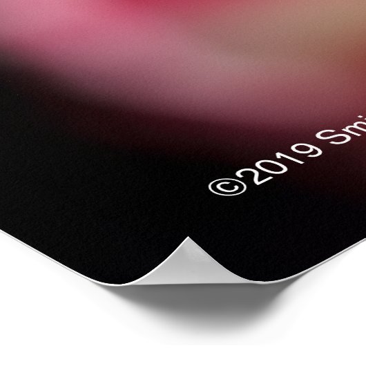 Double Delight Rose Poster (Ecke)