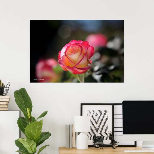 Double Delight Rose Poster (Heimbüro)