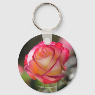Double Delight Rose Schlüsselanhänger