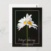 Double Headed White Daisy | Oxeye Daisy Foto Postkarte (Vorne/Hinten)