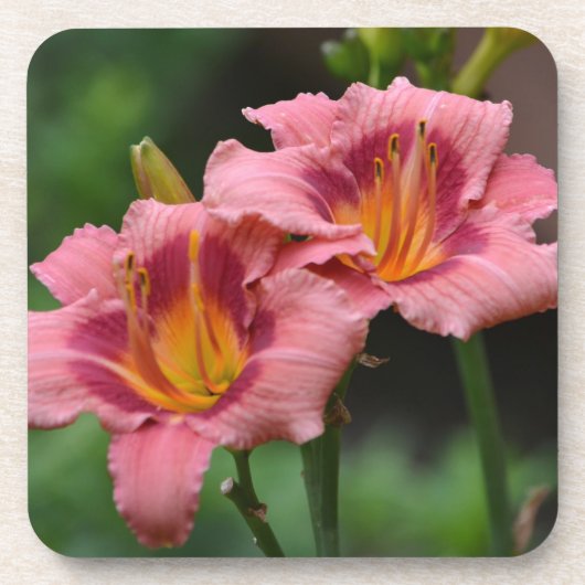 Double Lily Untersetzer (Vorderseite)