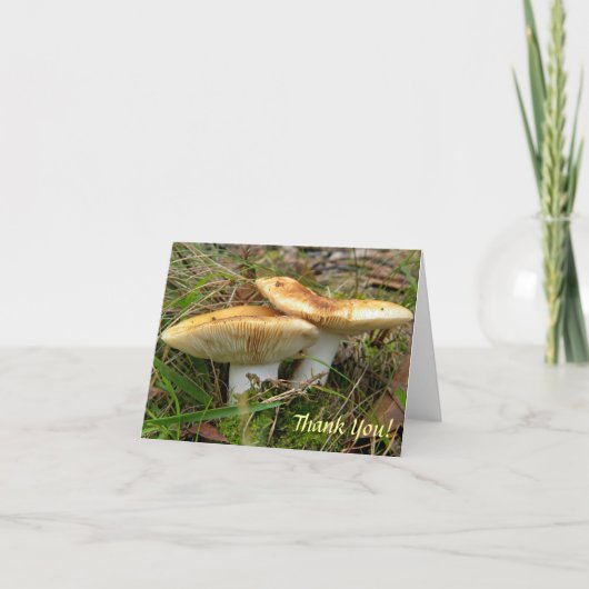 Double Mushroom Note Card Karte (Vorderseite)