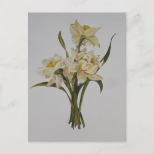 Double Narcissi Bouquet Floral Art Postkarte