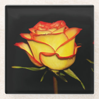 Double Red and Yellow Rose Bloom Glasuntersetzer