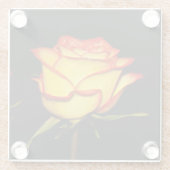 Double Red and Yellow Rose Bloom Glasuntersetzer (Rückseite)